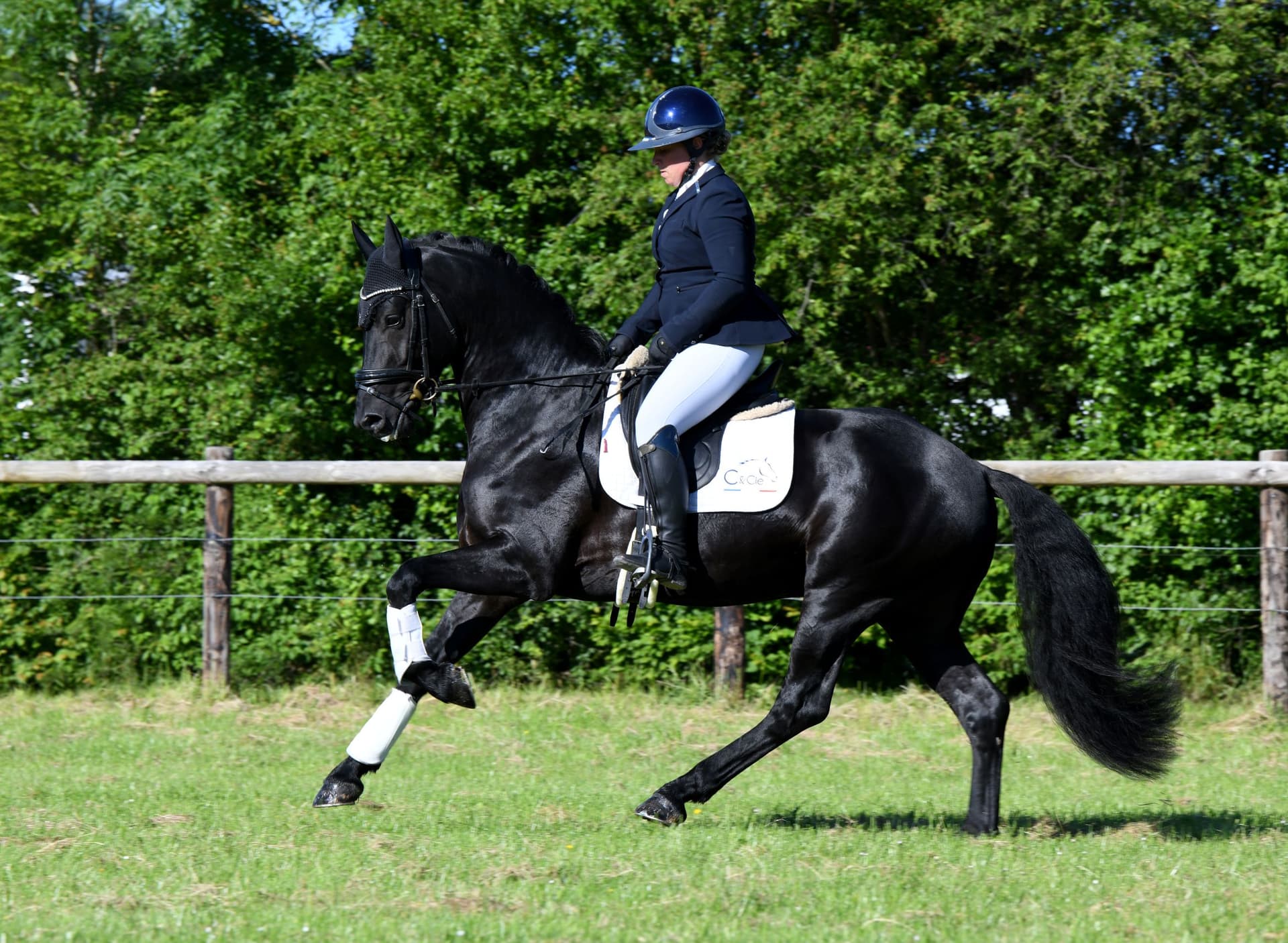 Hermès Look DP 030 - Photo 6