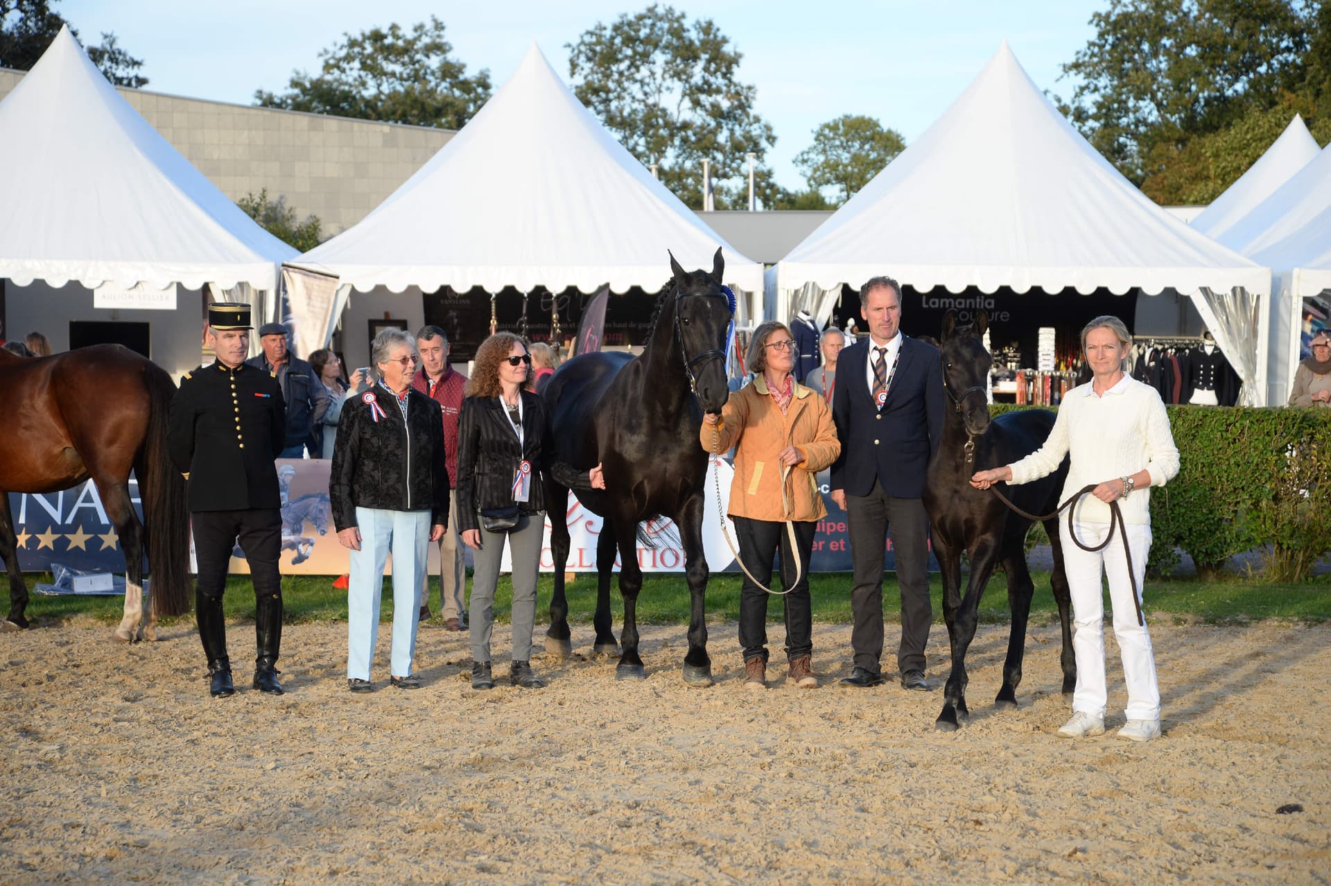 Hermès Look DP 030 - Photo 9