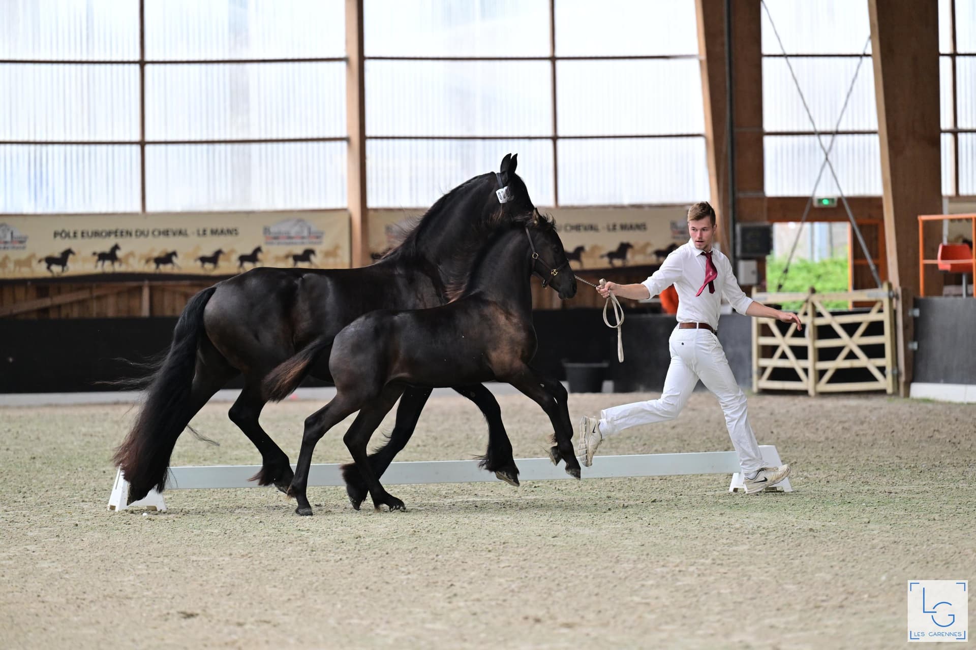 Adeline du Perche - Photo 2