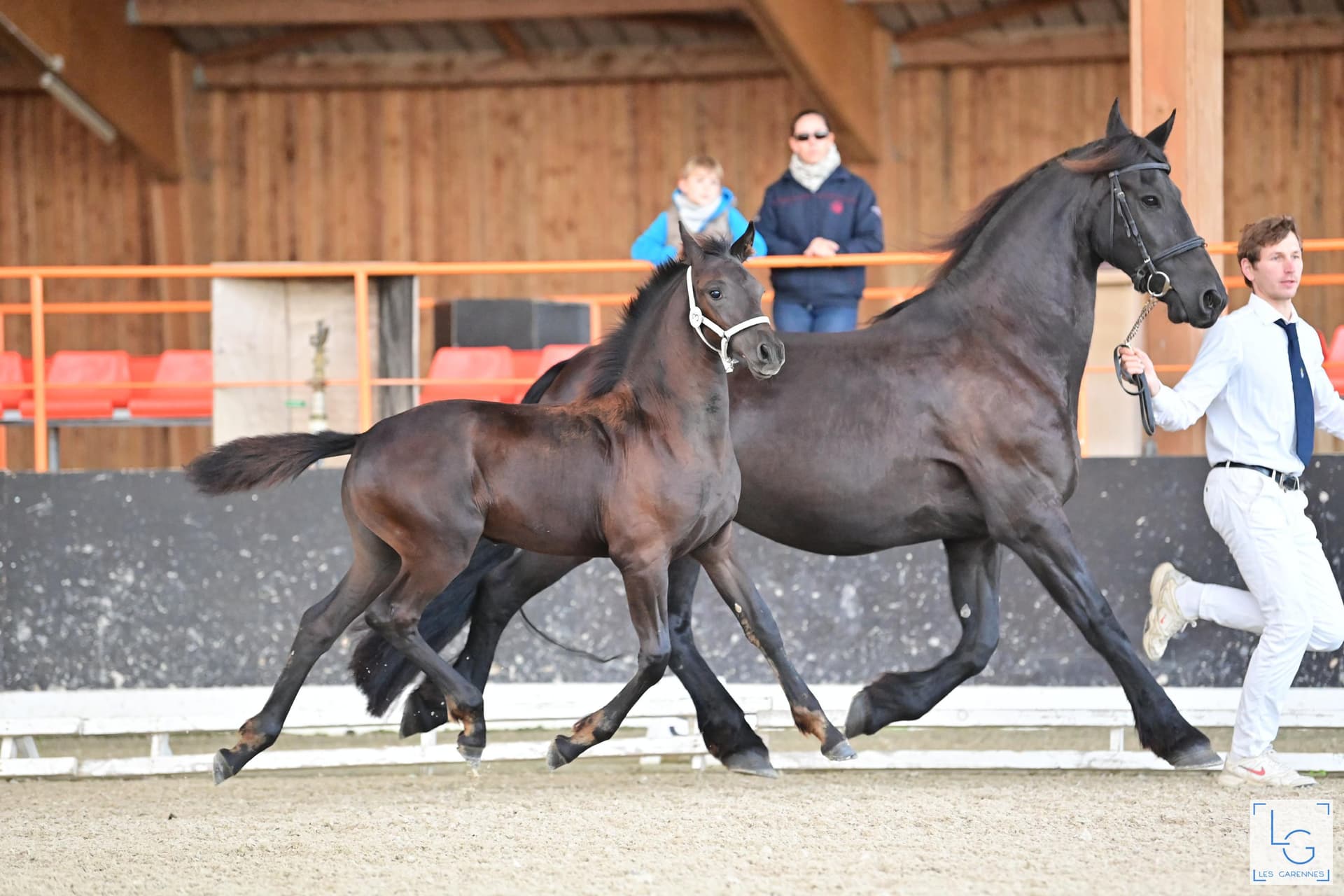 Adeline du Perche - Photo 3