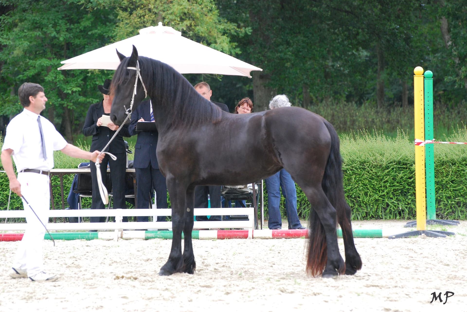 Adeline du Perche - Photo 5