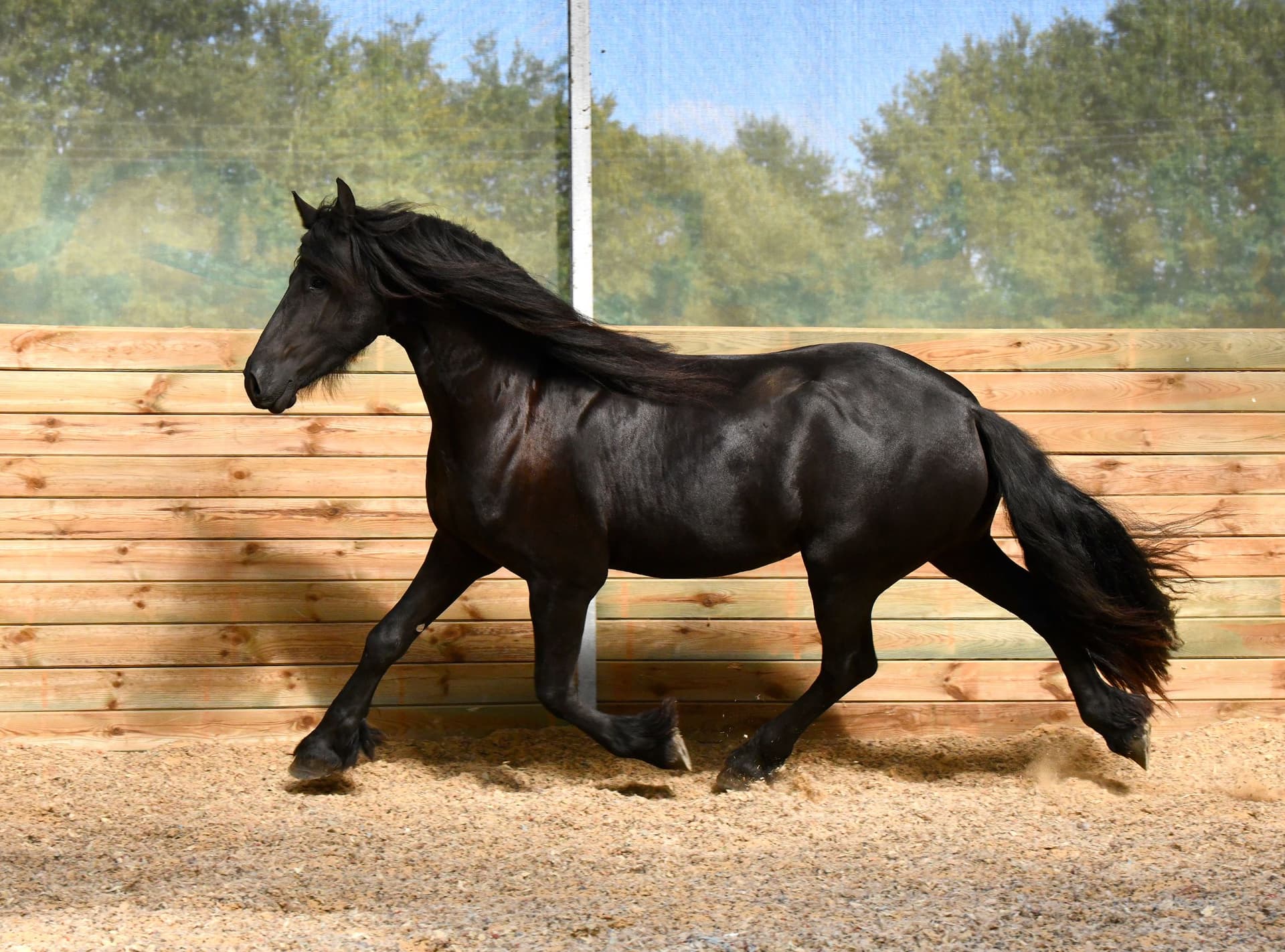 Carla du Perche - Photo 2