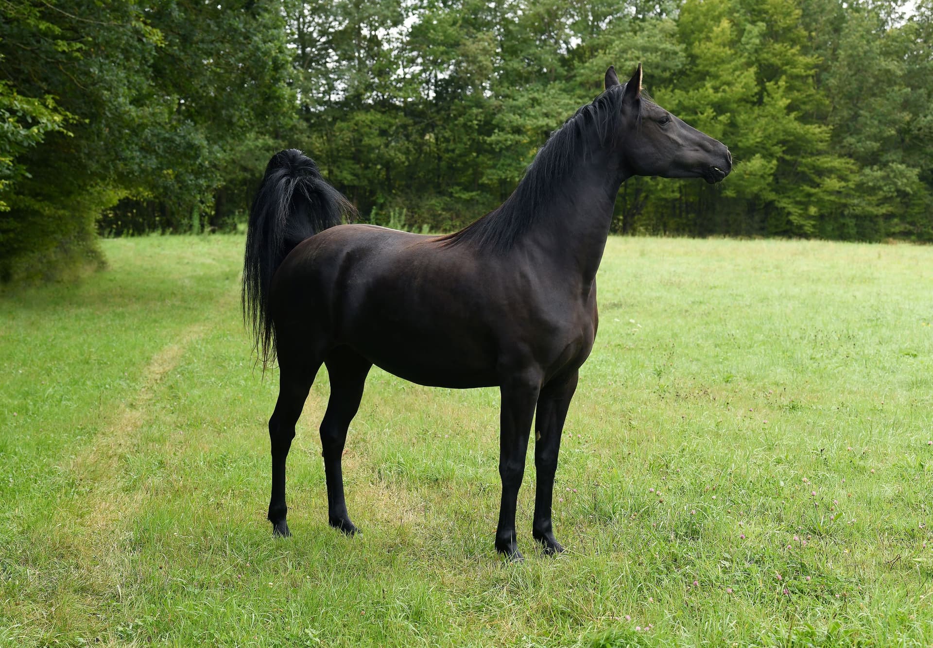 Just a Look du Perche - Photo 2