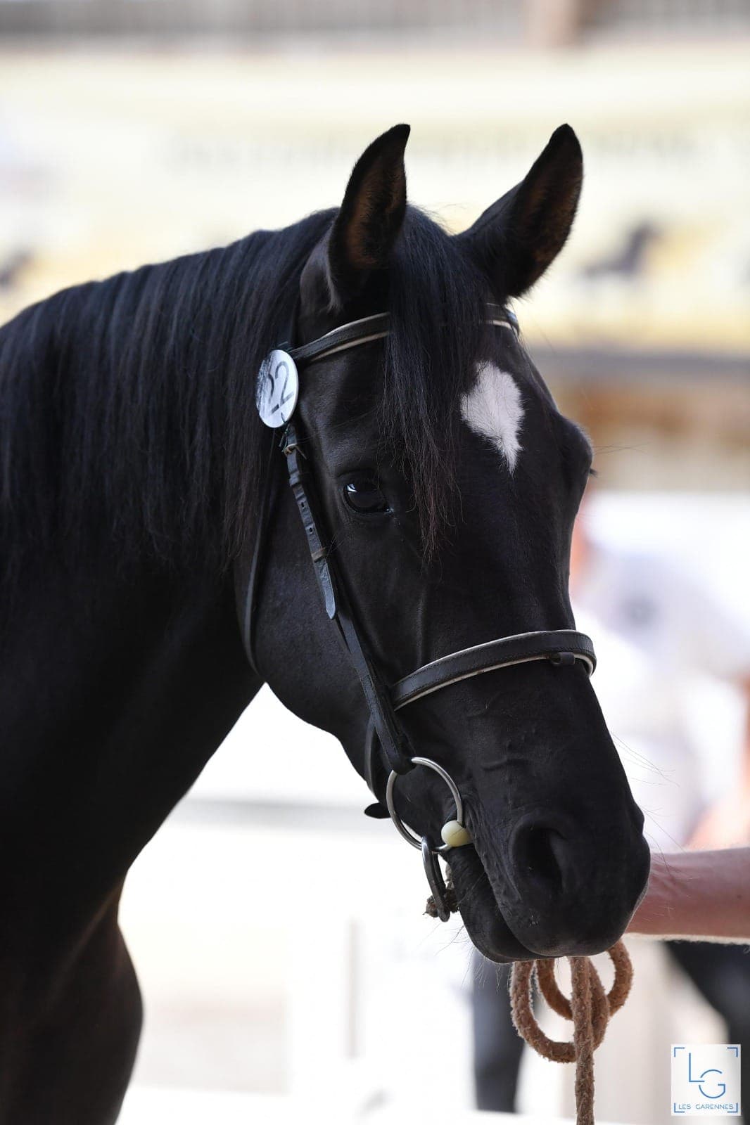 Just a Look du Perche - Photo 4