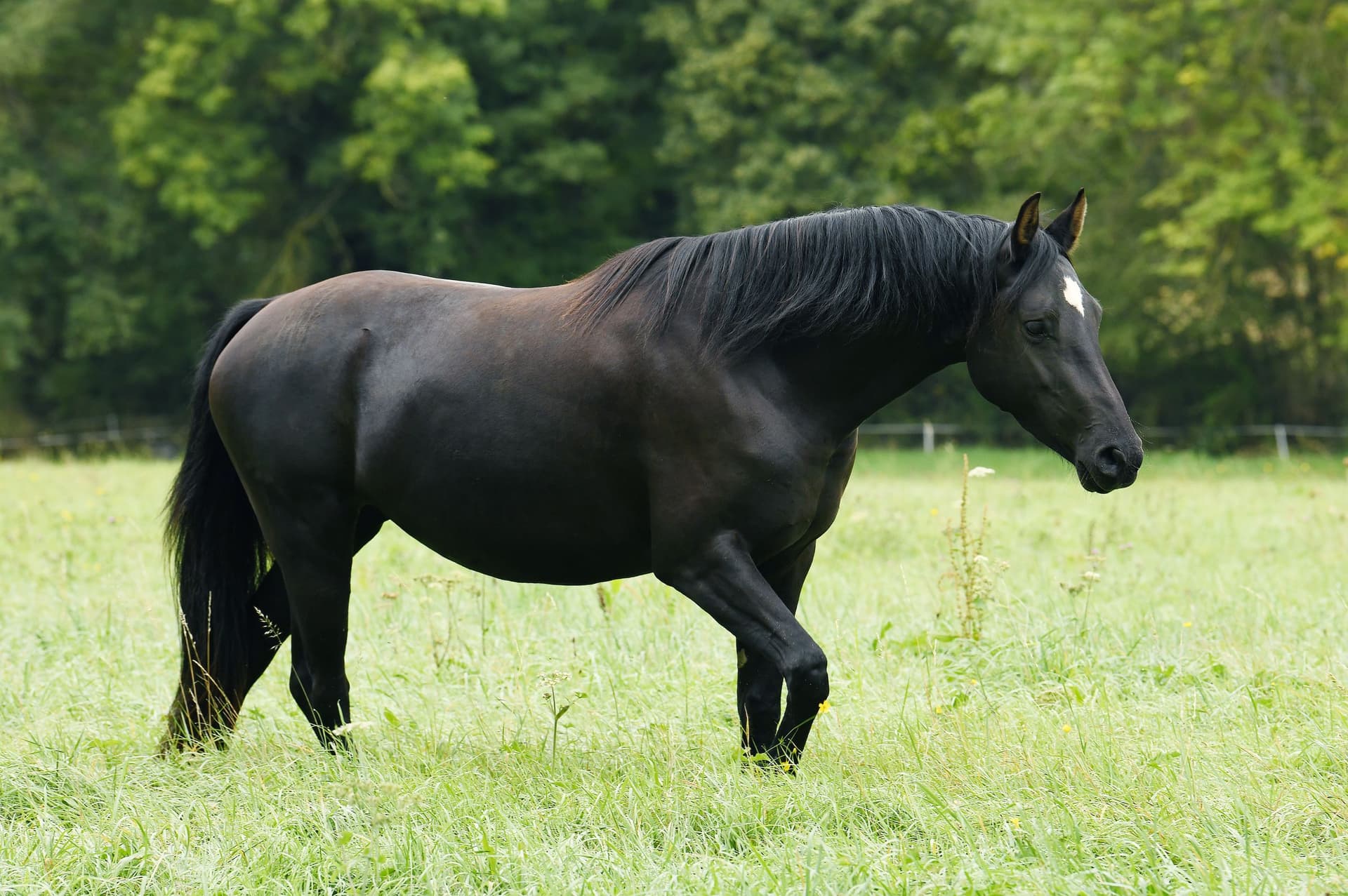 Just a Look du Perche - Photo 5