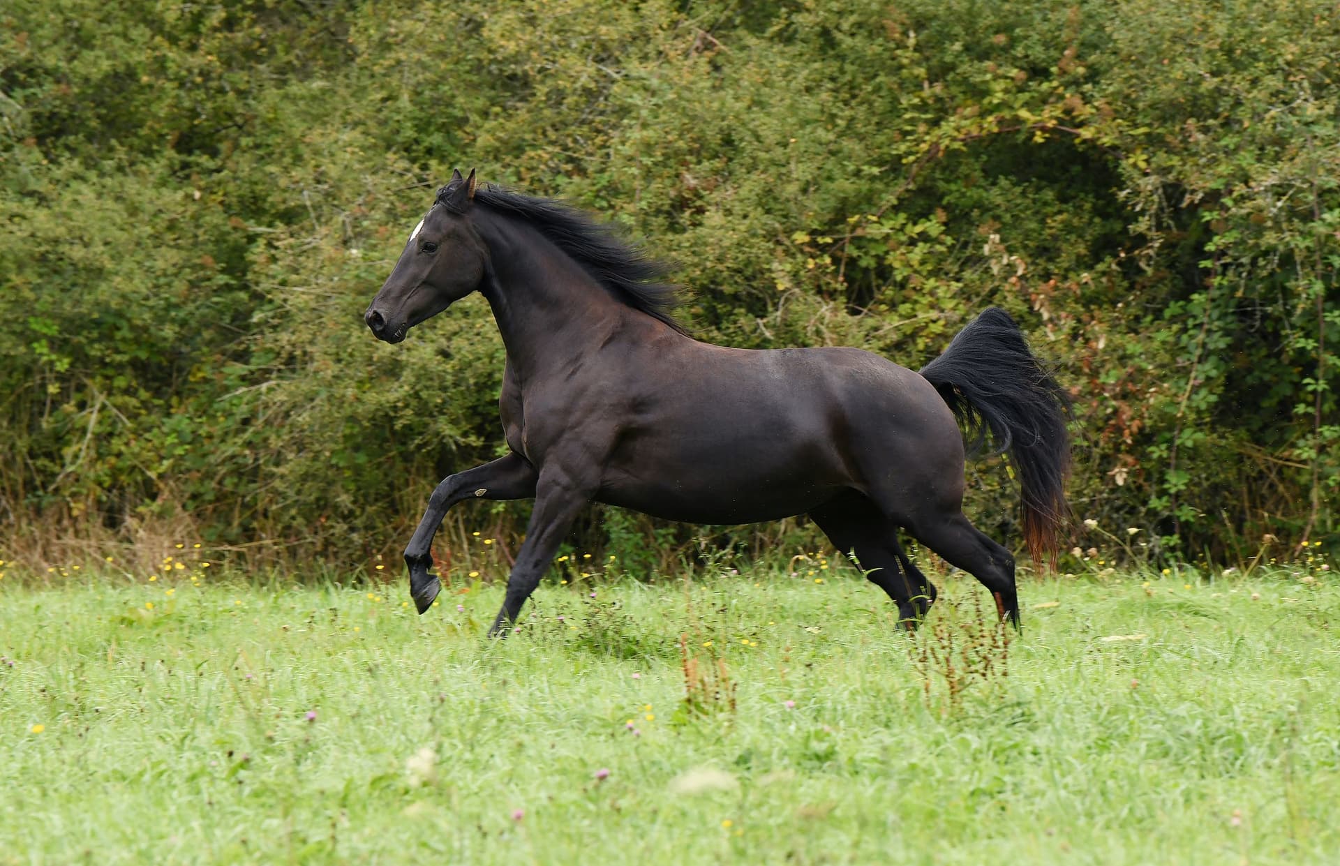 Just a Look du Perche - Photo 6