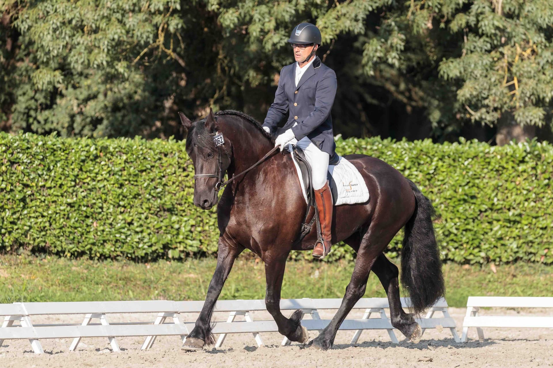 Lola du Perche - Photo 4