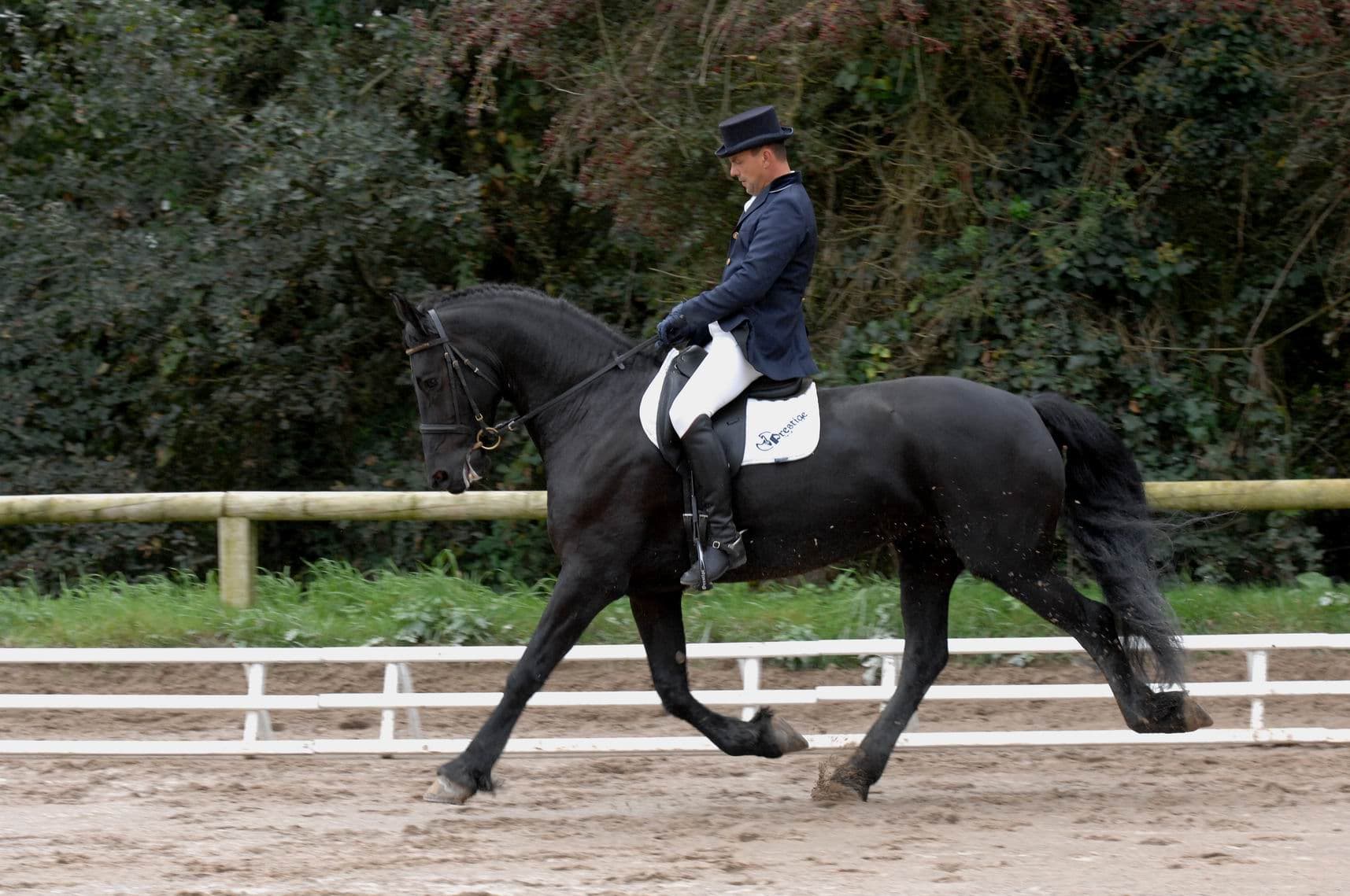 Tessa du Perche - Photo 2