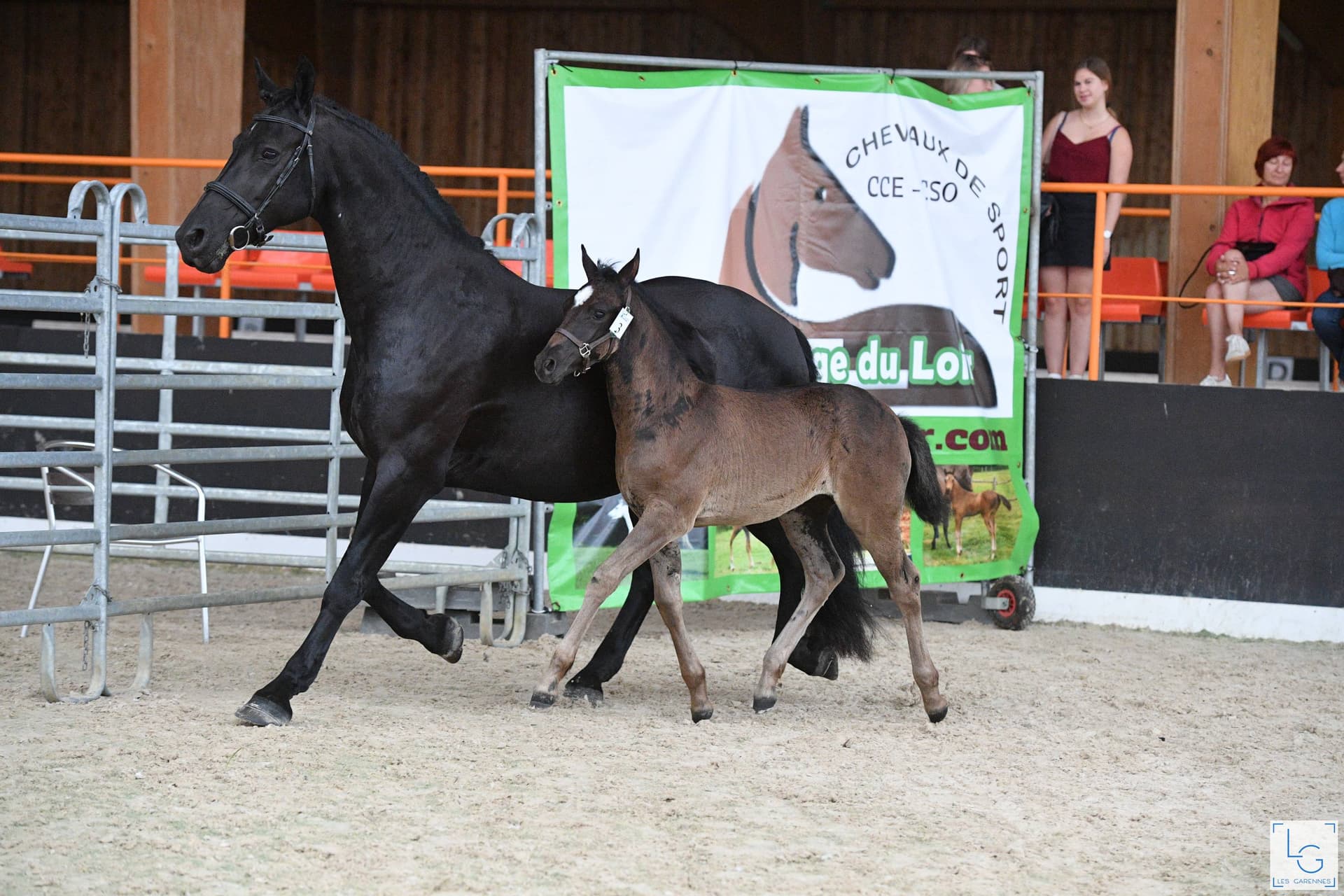 Tessa du Perche - Photo 4