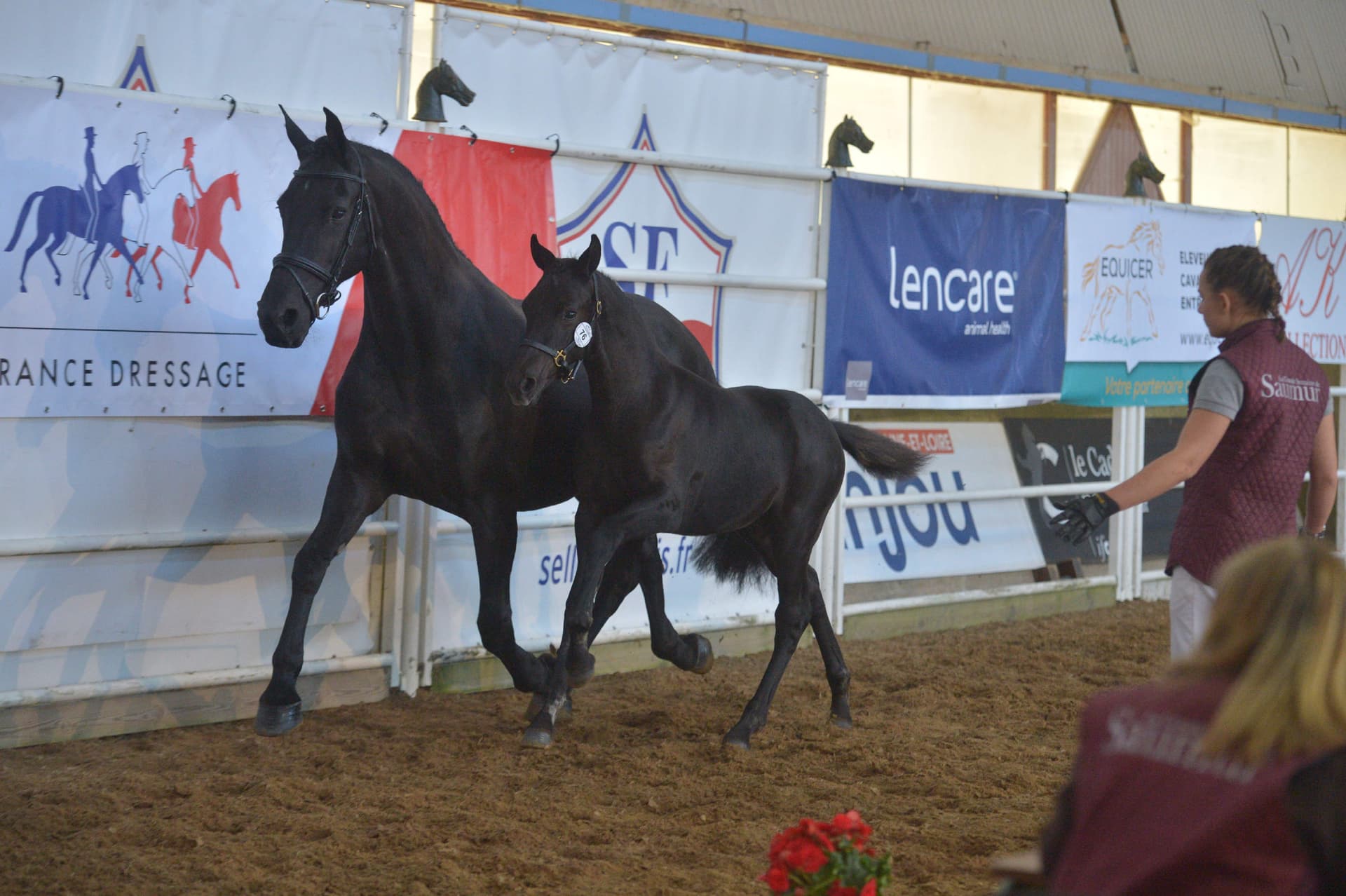 Tessa du Perche - Photo 5