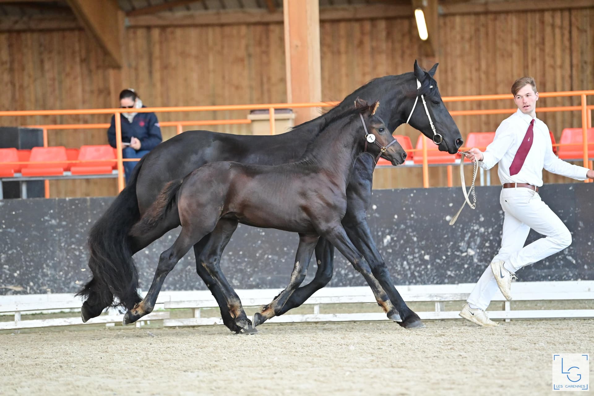 Zack du Perche - Photo 3