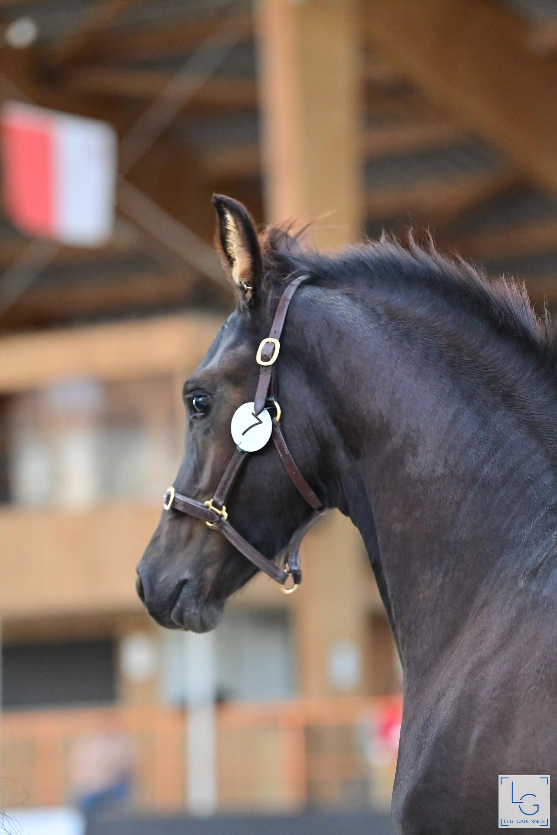 Zack du Perche - Photo 4