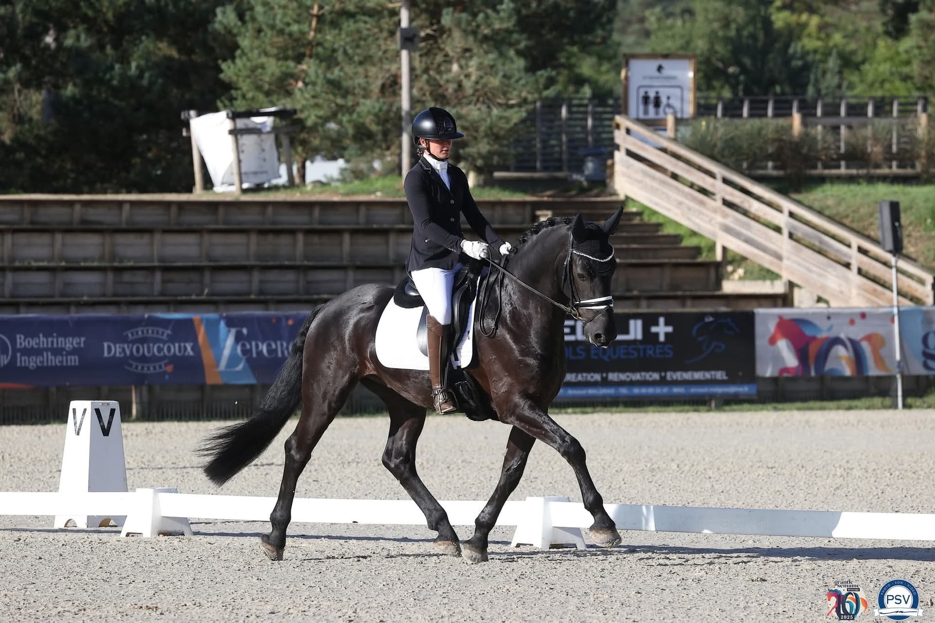 Cheval en concours de dressage